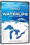 Waterlife (2009) poster