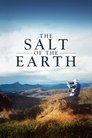 The Salt of the Earth (2014)